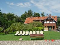 drzwi z drewna 954 